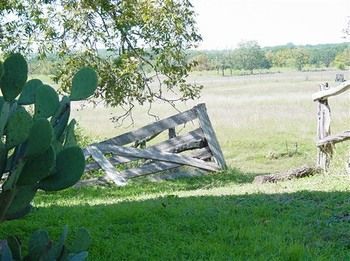 Back Forty Of Fredericksburg B&B 외부 사진
