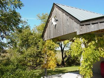 Back Forty Of Fredericksburg B&B 외부 사진